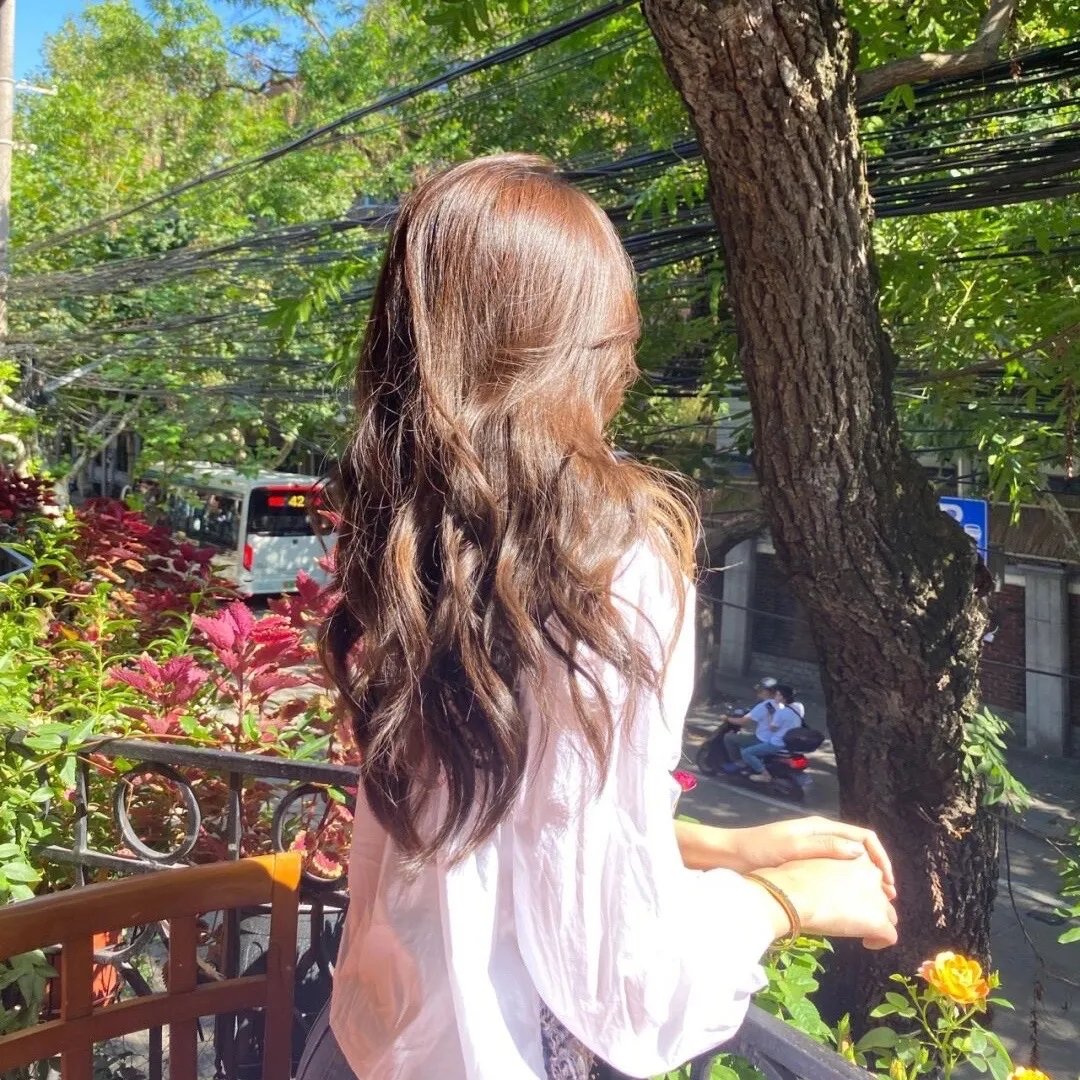 八十龟酱观察日记第三季